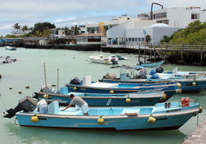 Boats Galapagos Islands - © Ailola Quito