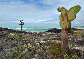 Galapagos Islands Traveling Classroom - © Ailola Quito