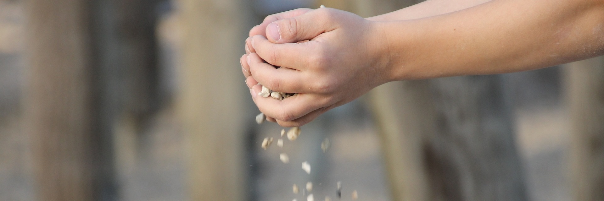 Seeking love, security and places that children can call home