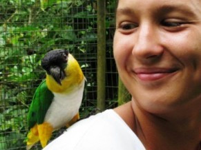 Rescue wild animals of the Amazon